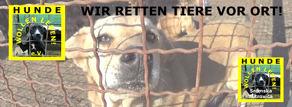 HUNDE wollen leben